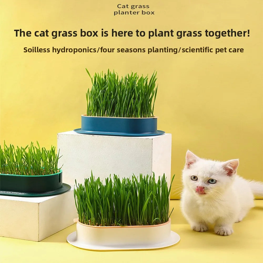 🐾HappyPaws Cat Grass Growing Kit