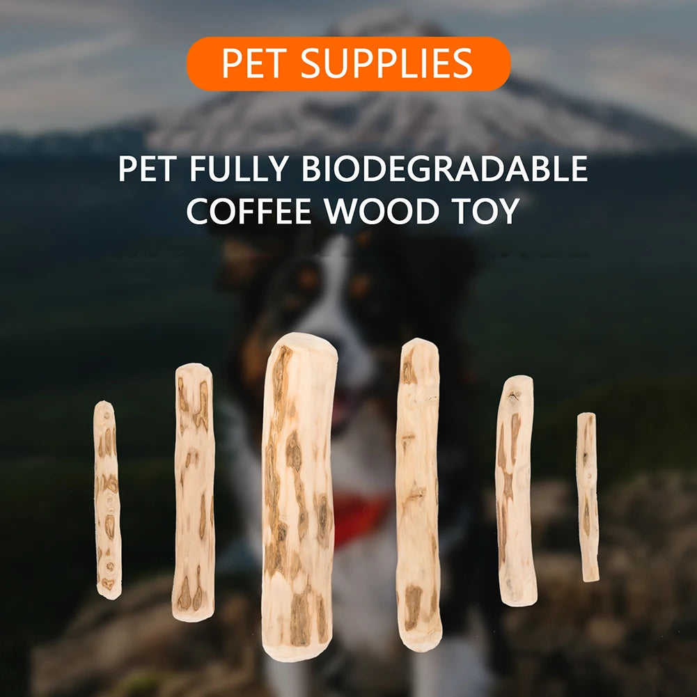 🐾HappyPaws Natural Coffee Wood Chew Stick