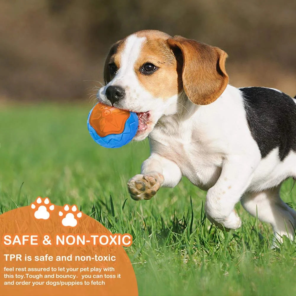 🐾HappyPaws Dental Chew Toy