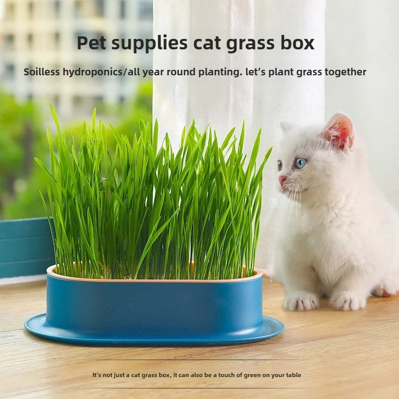 🐾HappyPaws Cat Grass Growing Kit