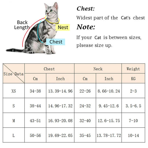 😺HappyPaws Cat Harness & Leash Set