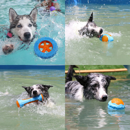 🐾HappyPaws Dental Chew Toy