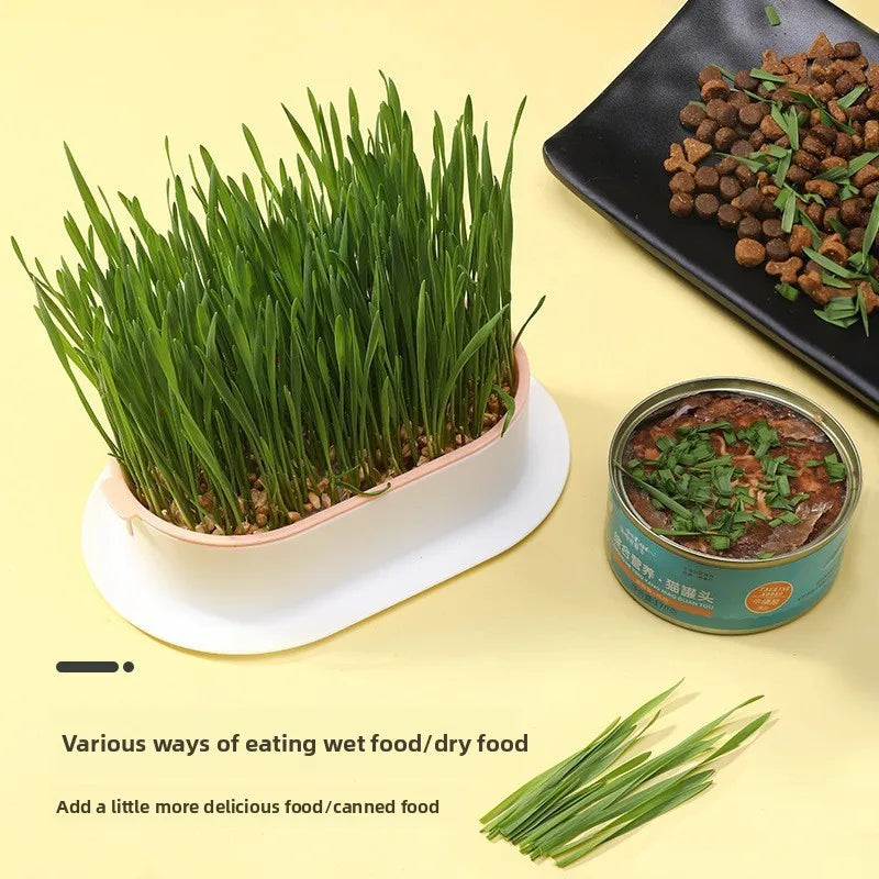🐾HappyPaws Cat Grass Growing Kit