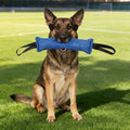 🐾HappyPaws Interactive Tug Toy