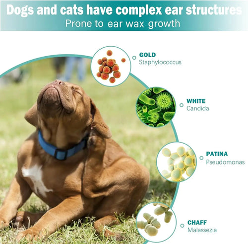 🐾HappyPaws ear Cleaning Wipes