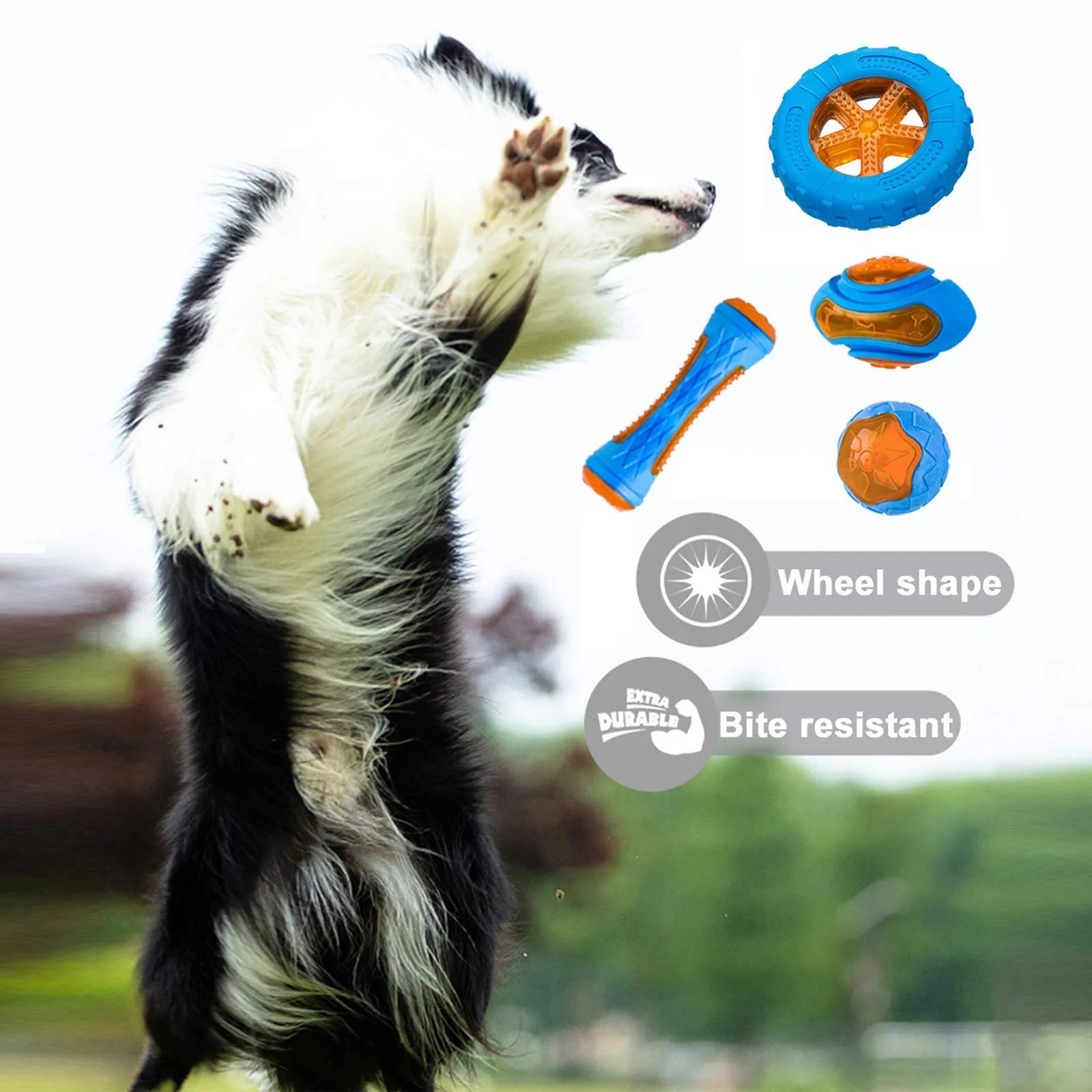 🐾HappyPaws Dental Chew Toy